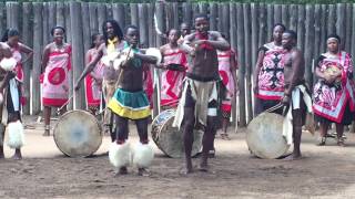 Traditional Swazi Dance [upl. by Gabi669]