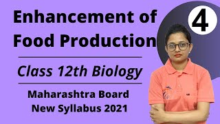 Enhancement of Food Production Class 12th Biology Part 4 [upl. by Anitrebla881]