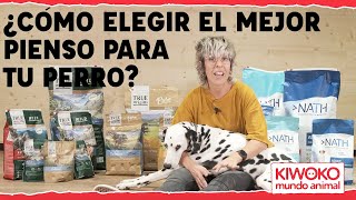 ¿Cómo elegir el mejor pienso para perros [upl. by Suvart52]