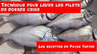 technique pour lever les filets dorade grise [upl. by Coward363]