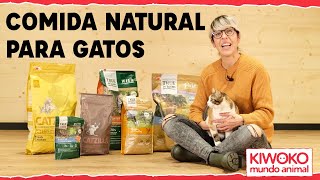 Pienso NATURAL para GATOS 🐈🥦【Consejos y Beneficios】🥇 [upl. by Libna]